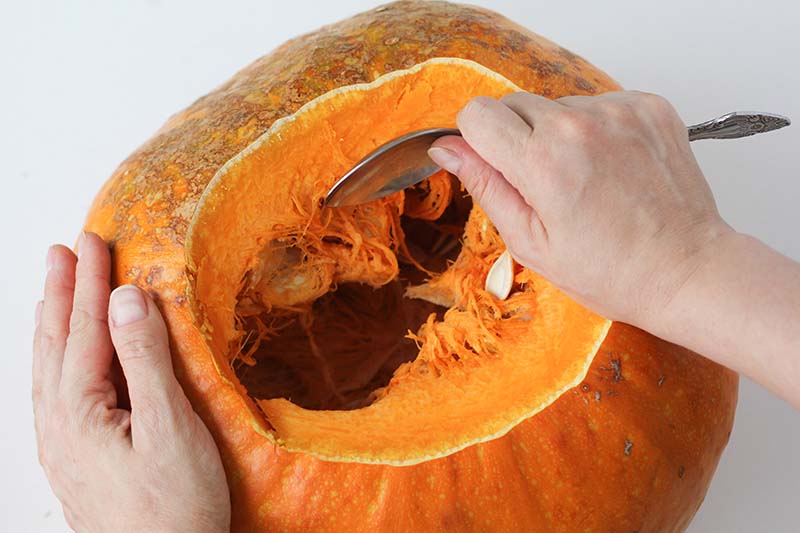 Хоризонтално изображение отблизо на две ръце, използващи метална лъжица, за да извадите месото от оранжеви тикви.
